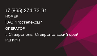 8652747331
